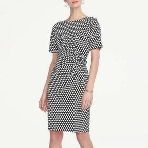 Ann Taylor Factory Soft Knit Dress